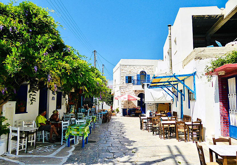 Taverna Loza in Langada on Amorgos in Greece.