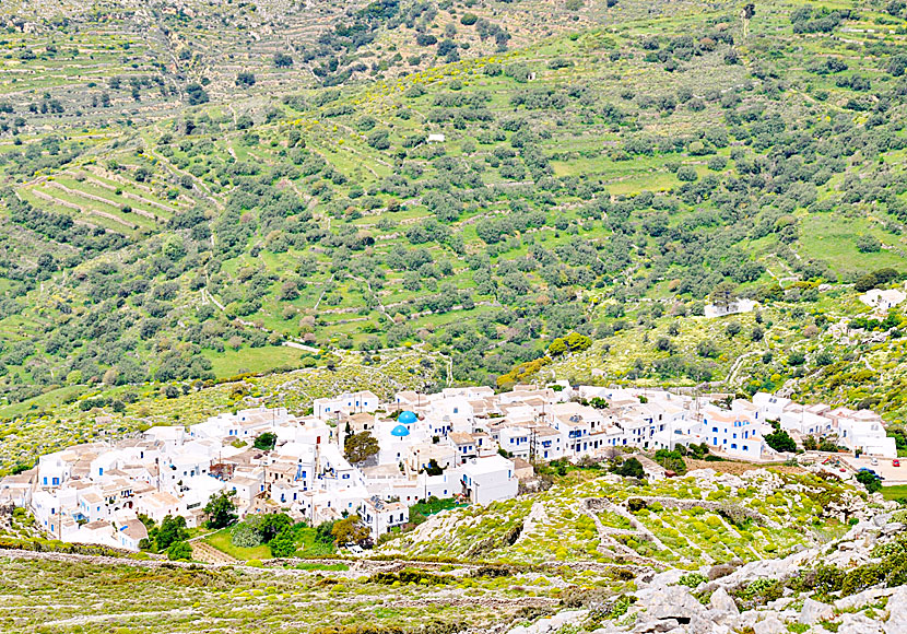 Hike from Langada to the windmills of Machos on Amorgos.