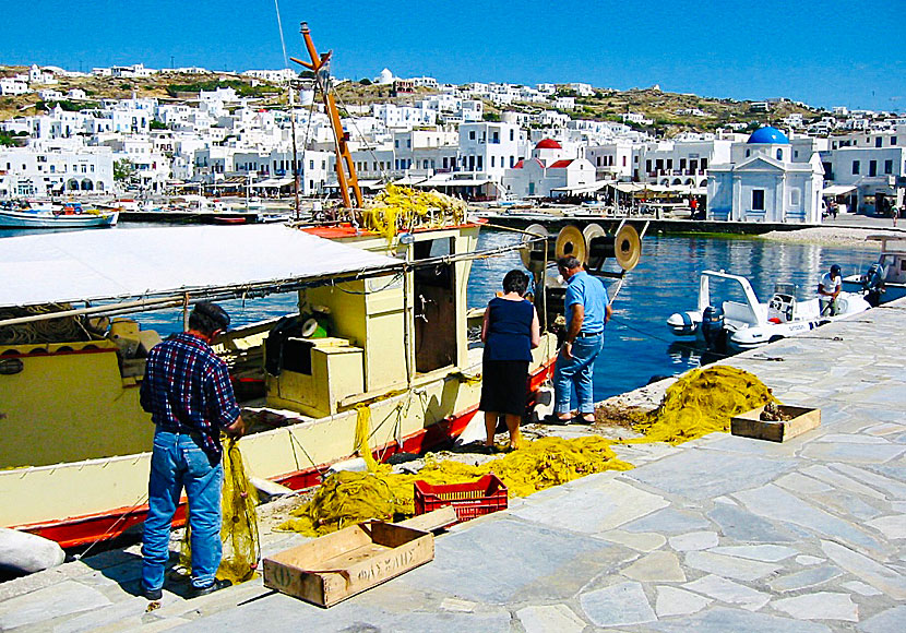 In the fishing port of Mykonos town you can buy fresh fish and seafood.