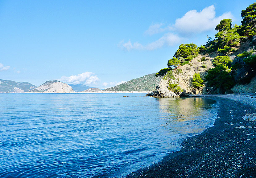 Vythisma beach on the island of Alonissos in Greece.