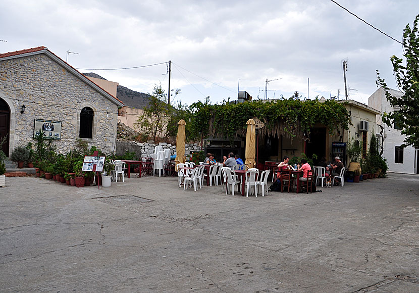 TThe Olive Museum and Taverna Athivoles in the village of Chromonastiri in Crete.