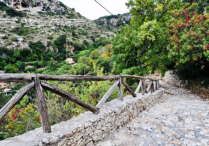 Hike in the Mili Gorge south of Rethymnon.