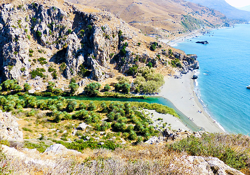 Don't miss the palm beach of Preveli when you travel to the village of Spili in Crete.