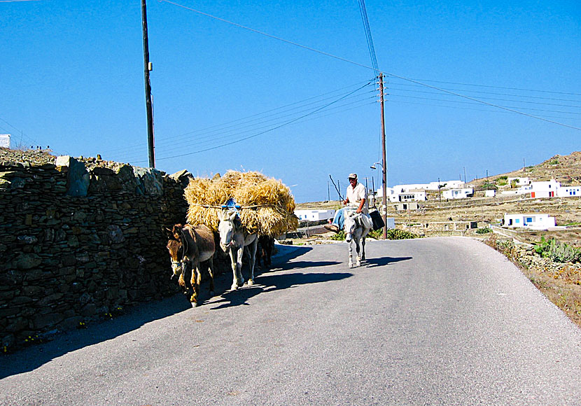 Don't miss the village of Ano Meria when you visit the interesting folk museum in Folegandros island.