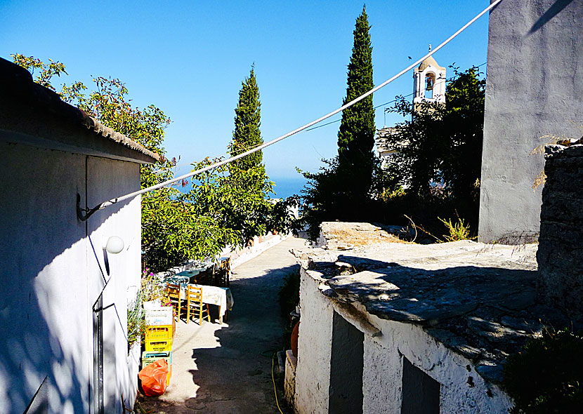 Cafe in the monastery yard belonging to Theoktistis monastery on the island of Ikaria.