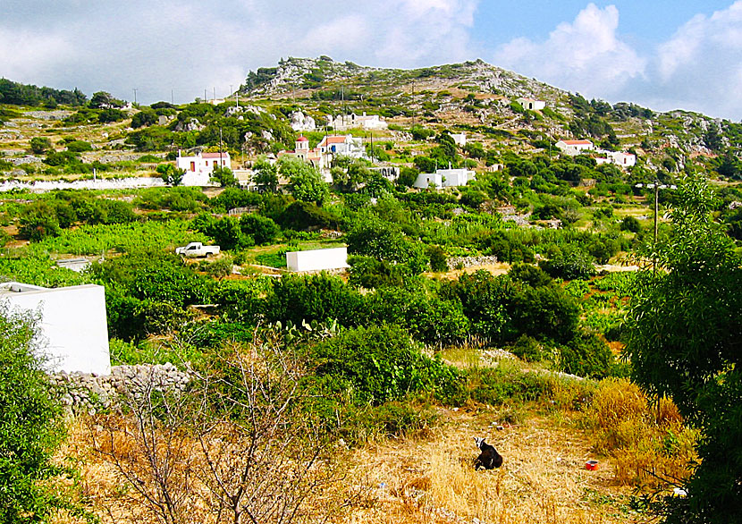 Stes is the smallest village on Karpathos.