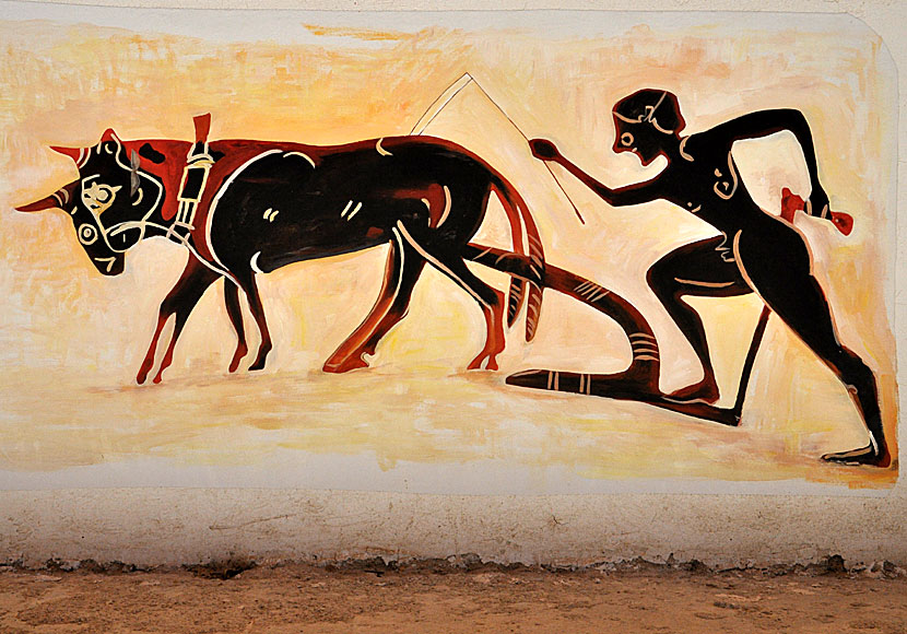 Ancient bulls in Greece.