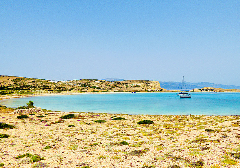 The U-shaped and lagoon-like swimming pool in Pori on Koufonissi in the Small Cyclades.