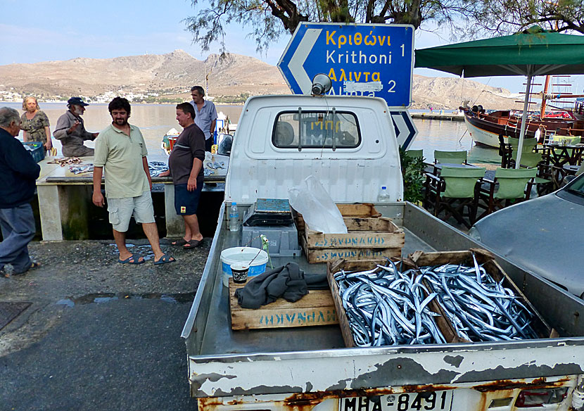 The fish market in Agia Marina on Leros.