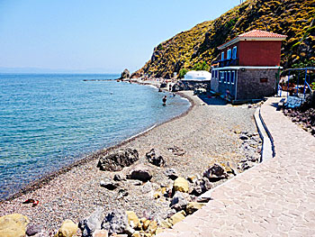 Eftalou & Anargyri beach on Lesvos.