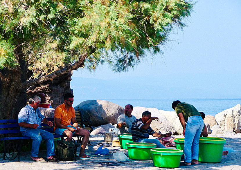 Fishermen mend their nets in the shadow of the Church of the Mermaid Madonna.