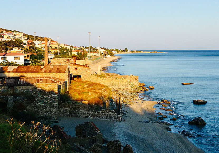 Walking from Plomari to Agios Isidoros takes about 30 minutes.