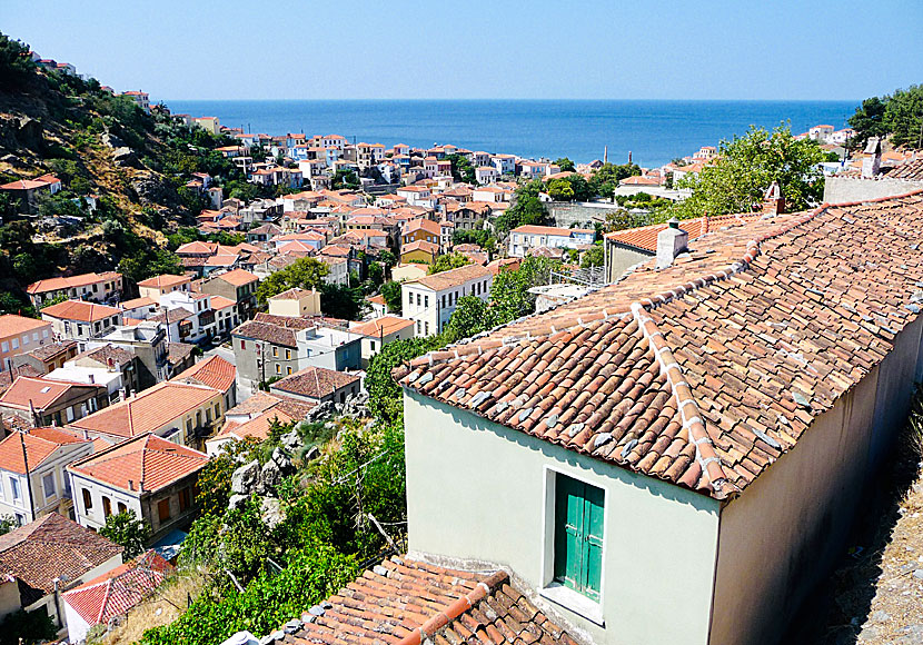 Plomari is Lesvos' second largest village with 3,000 inhabitants.