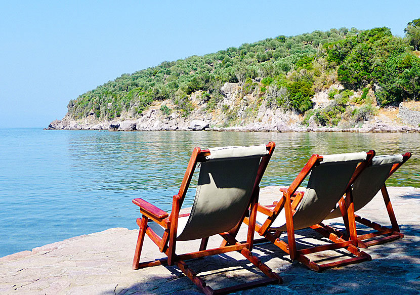 Rent sunbeds and parasols on Lesbos in Greece.