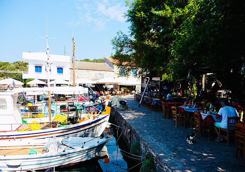 Restaurants and tavernas in Skala Sikaminias.