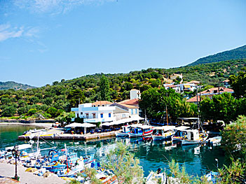 The village Skala Sikaminias on Lesvos.