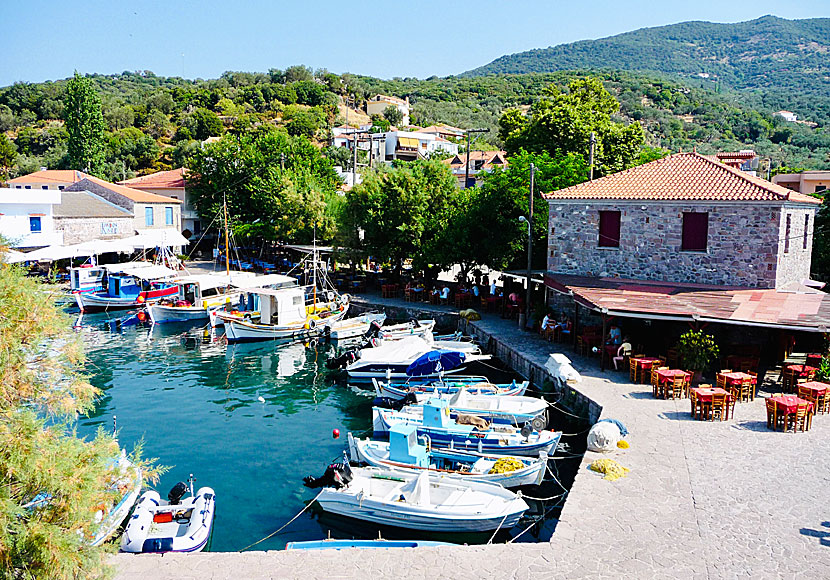 Skala Sikaminias on Lesvos in Greece.