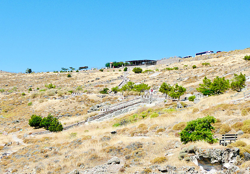 The petrified forest in Lesvos.