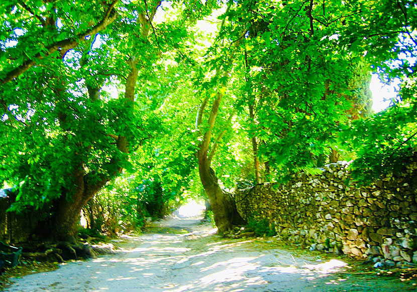 Drive a car or bike to Kouros of Melanes.