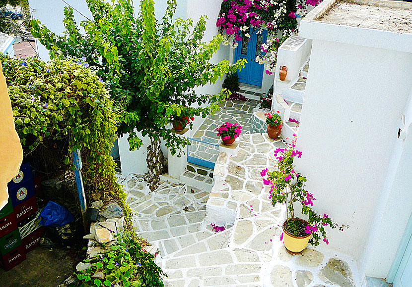 One of the many beautiful alleys in Lefkes. Paros.