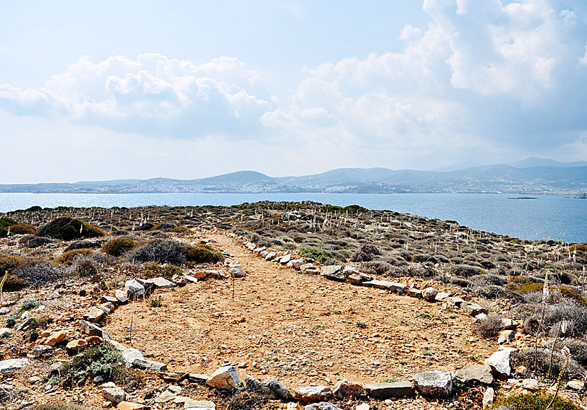 From Naoussa, it is close to the beaches of Monastiri and Kolymbithres, as well as to the Cultural Park of Paros.