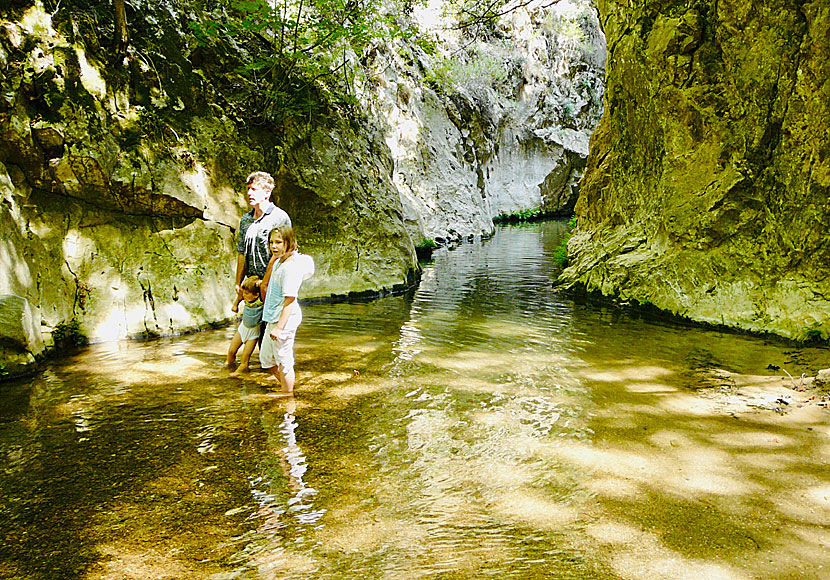 Swim and bathe in the lake and waterfall on Samos.