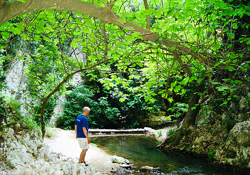 Hike to the waterfall of Potami on Samos in Greece.