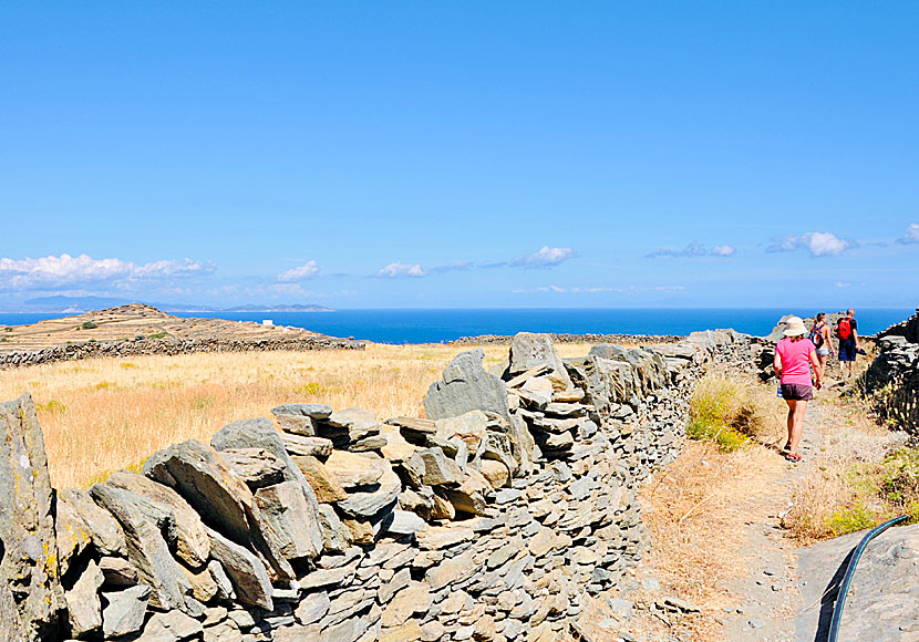 Many of the old donkey paths remain and that is why Sifnos is such a good hiking island.