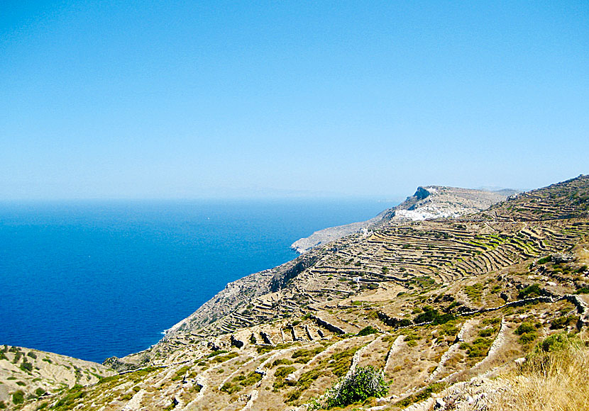 Sikinos is known for its vineyards and ancient stone walls.