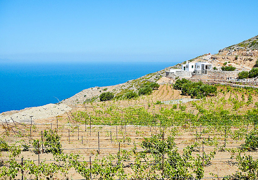 Manalis Winery on Sikinos in the Cyclades.