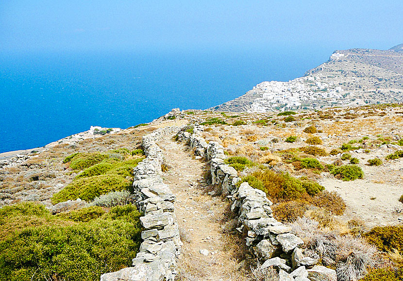 Hike between Kastro and Chorio on Sikinos.