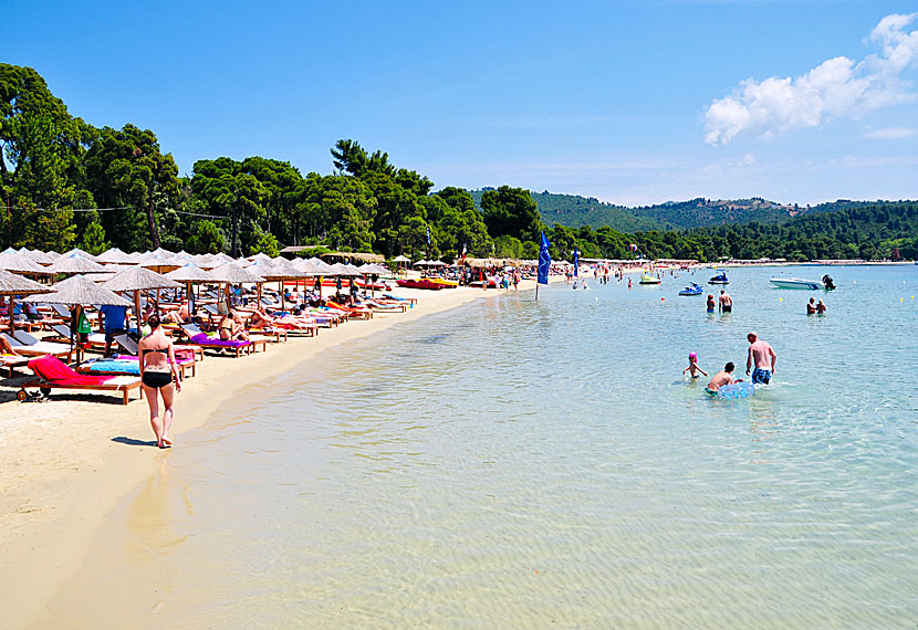 Koukounaries beach is located approximately 10 kilometers west of Skiathos town.