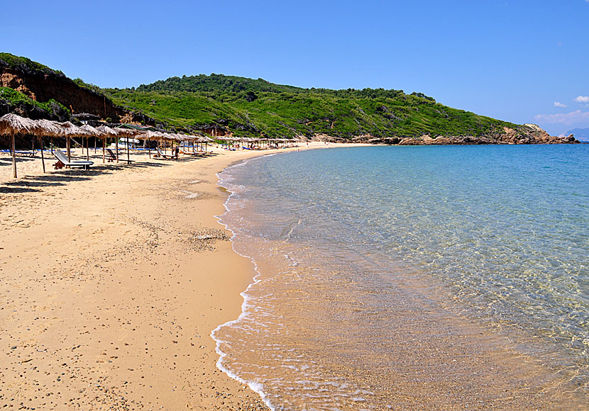 Do not miss the 22 best beaches when you travel to Skiathos.