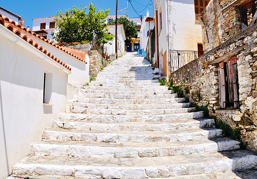 One of many stairs in Glossa on Skopelos.