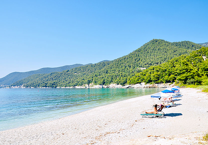 Milia beach on Skopelos in Greece.