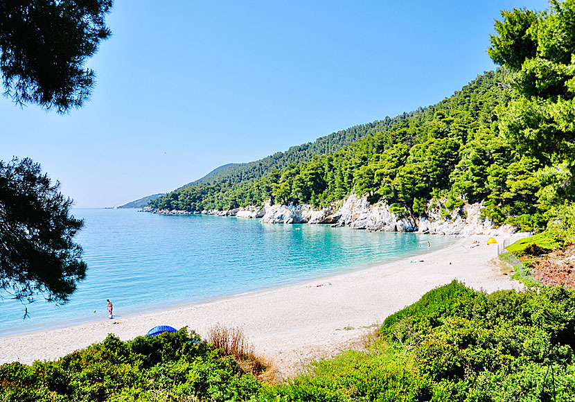 Don't miss Kastani beach when traveling to Mila beach on Skopelos.
