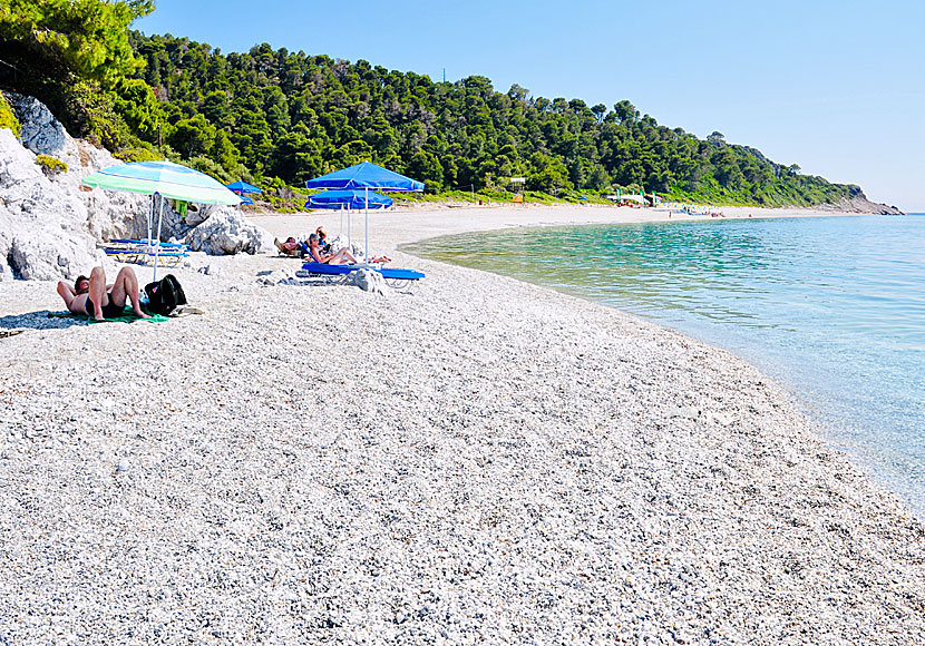 The beach of Milia on Skopelos in the Sporades.