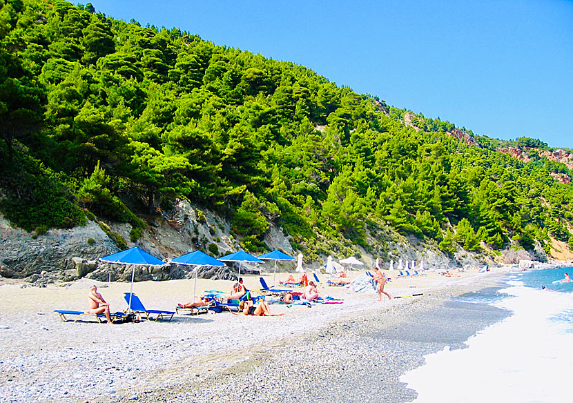 Velanio is one of the most beautiful beaches on Skopelos in Greece.