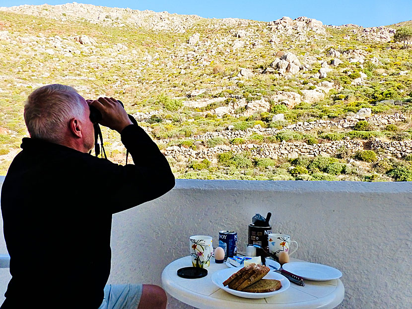 Bird watching with breakfast on a balcony at Annas Studios in Livadia.