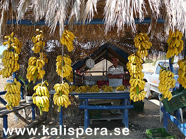 Close to Vai beach on eastern Crete. 
