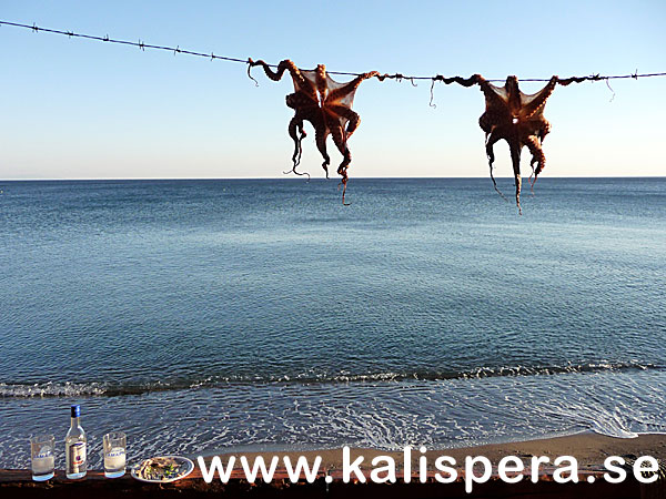 Skala Eresou, Lesvos.. Lesbos.