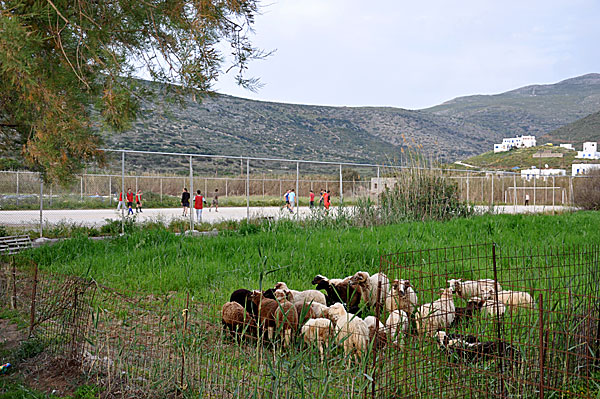 Football game. Amorgos.