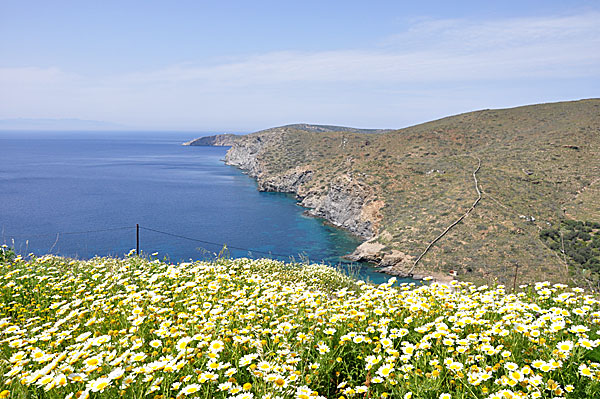 Lefkes. Katapola. Amorgos.