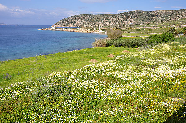 Xilokeratidi and goes through Ta Nera to the lighthouse at Katapola inlet