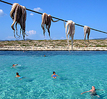 On tour with Alexandros.
