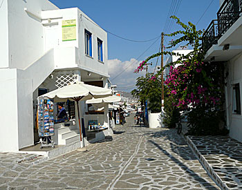 Main street in the only village.