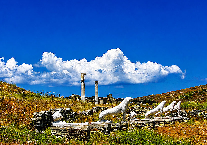 Copies of the famous lion statues on Delos near Mykonos in the Cyclades.