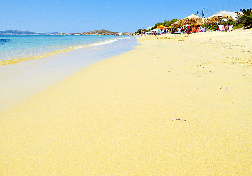 Plaka beach on Naxos, is one of Greece best beaches.