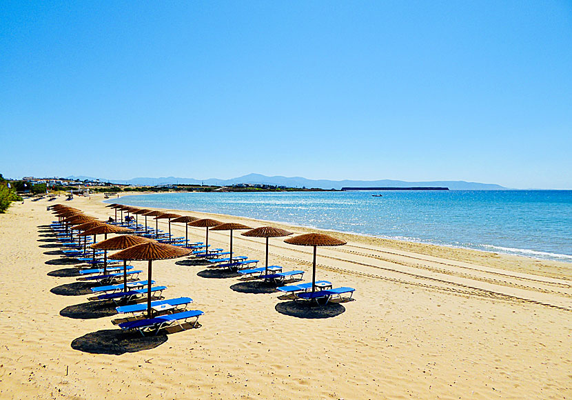 Golden beach is one of many fine sandy beaches on the east coast of Paros.