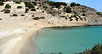 Psili Amos.